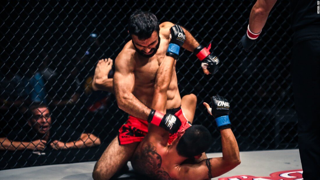 mma mixed martial arts musculation programme exercice