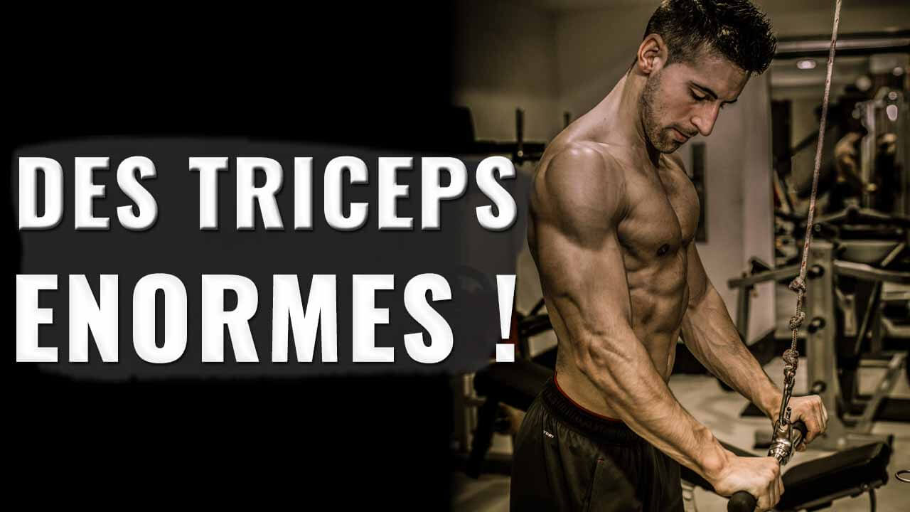 comment muscler ses triceps poulie prendre des bras exercice musculation