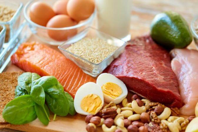 source de proteine pour secher boeuf oeuf viande poulet saumon